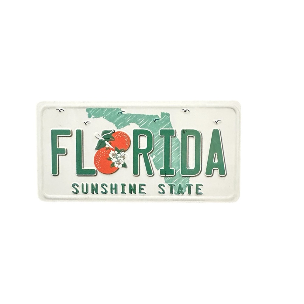 Florida Sunshine State Magnet